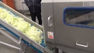 Станок для шинковки (нарезки) капусты