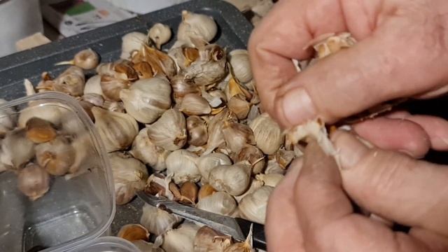 ЧЁРНЫЙ ЧЕСНОК СУПЕР ПРОДУКТ ПРОТИВ РАКА #61 смотреть онлайн