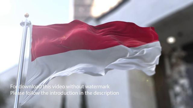 Monaco flag with 3d effect blowing in the wind 3D Flag V2 long смотреть онлайн