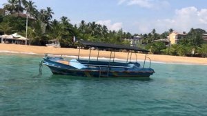 Курсы дайвинга на Шри-Ланке 2021. Стоимость и впечатления