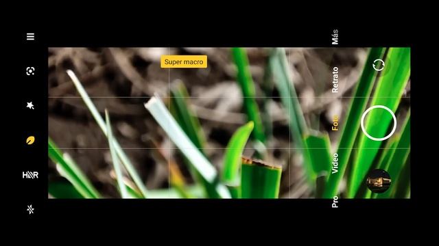 Xiaomi 11 Lite 5G NE | Prueba REAL de cámaras смотреть онлайн