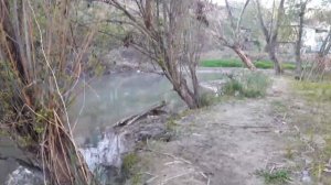 Янгиюль рыбалка на реке куркульдюк африканский сом. Разведка рыбного места