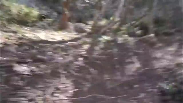 Большая Севастопольская тропа . Начало смотреть онлайн