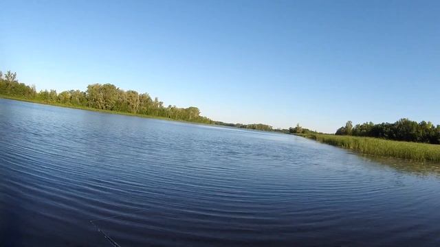 Первая щука и сразу бонусная. Ловля на спиннинг в жаркий июль
