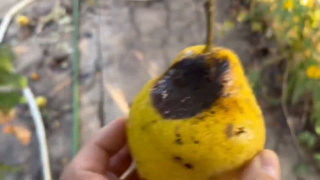 Вот такие дела!!! смотреть онлайн