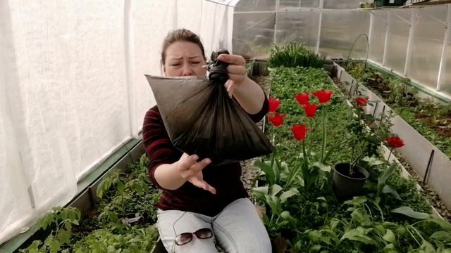 ДЕЛАЙТЕ ВСЕ ЛЕТО ЗЕЛЕНОЕ УДОБРЕНИЕ ИЗ СОРНЯКОВ | БРОДИЛКА БЕЗ ЗАПАХА ИЗ СОРНЯКОВ