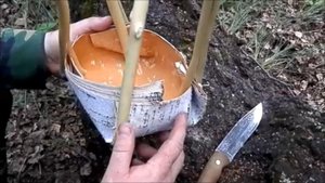 Вода в лесу: как ее найти и сделать пригодной для употребления.