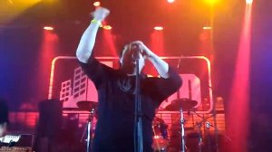 Мертвые дельфины   Музыка в огне