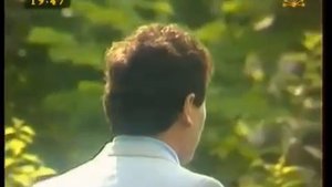 Өфө йүкәләре (Уфимские липы)