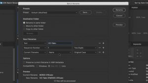 How to BATCH RENAME Files in Adobe Bridge in 2023