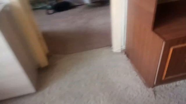 Тест драйв детской коляски 2 часть. смотреть онлайн