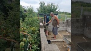 Аутизм - не приговор! Дети Индиго