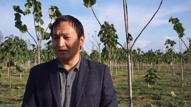 Agroforestry And Poplars In Central Asia - English Part 2