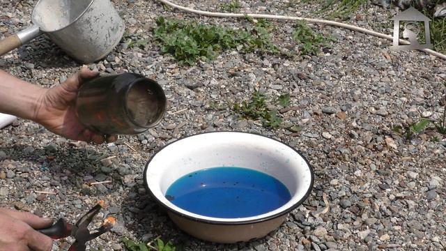 Банка засосала воду - опыт по физике смотреть онлайн