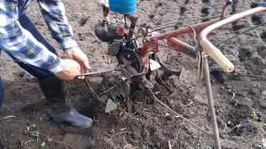 Самодельный культиватор с двигателем Д-5