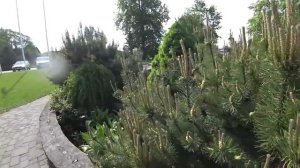 Рига. Как Латыши Принимают Украинцев. Как Живут в Латвии Сейчас. Латвия Украина 2022