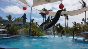 Manatí Park, Punta Cana, República Dominicana