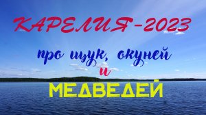 Карелия-2023. Про щук, окуней и медведей