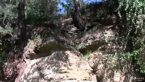 Сернур и окрестности. Тимино