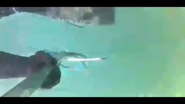 Подводная охота на Каспийском море. Xəzərdə sualtı balıq ovu. Spearfishing in the Caspian Sea. смотреть онлайн