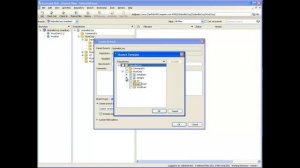 Sparse Branching in Surround SCM