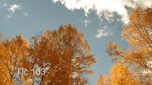 Действия Святого Духа в природе.