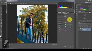 photoshop cc camera raw presets download 2019