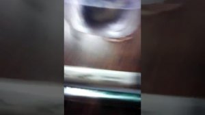 Плесень и бамбуковые палочки.