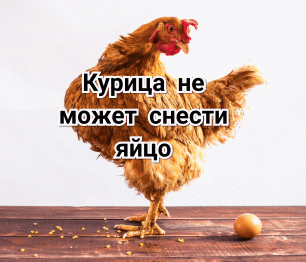 Курица не может снести яйцо. Как помочь и в чём причина?