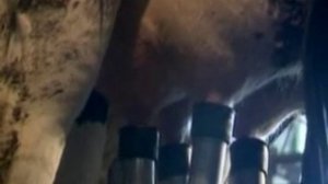 Как отличить настоящее молоко от подделок