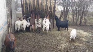 ? А у Вас так БЫЛО_? Истории из  жизни