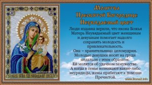 Молитва Богородице Неувядаемый Цвет