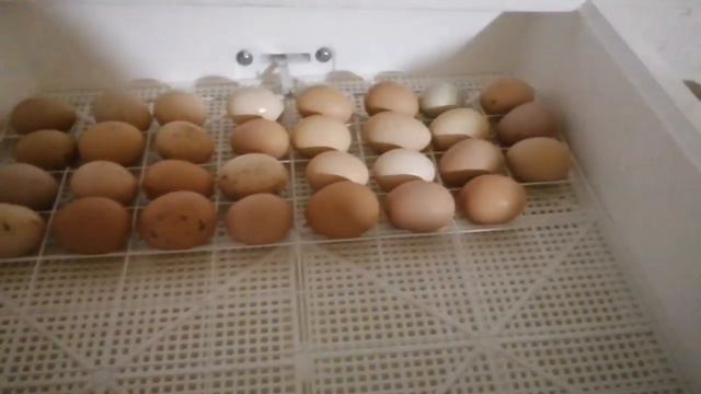 Деревенские будни, #деревня смотреть онлайн