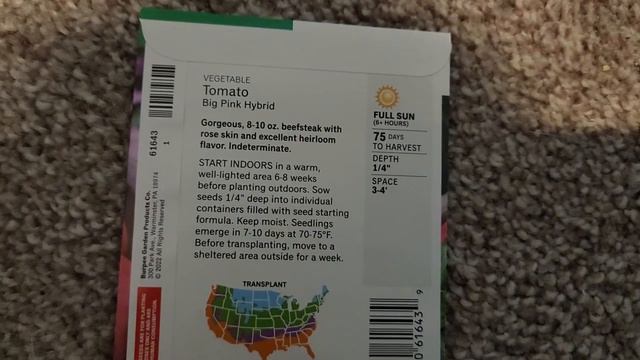 How to grow big pink hybrid tomatoes from seed🌱