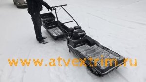 тест драйв мотобуксировщик ( мотособака ) Джек. Везет легко троих человек.