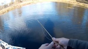 Тест стримера из бактейла разных цветов на щуку - Мир нахлыста