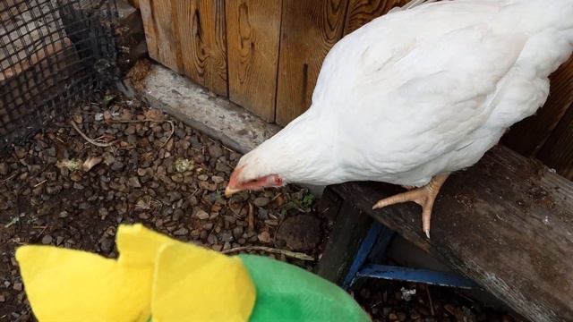 ура мой клад смотреть онлайн