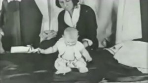 The Little Albert Experiment