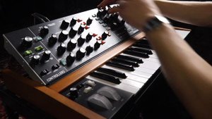Behringer Poly D - Sound TEST - NO TALKING (Part 2/3)