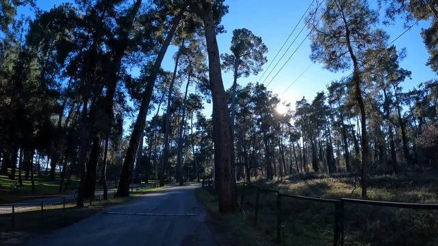 Черное море пляж набережная зимой [Абхазия Пицунда Курорт Пицунды 27] смотреть онлайн