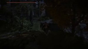 Elden Ring Ледяная Игла. Где найти колющий меч Ледяная Игла.