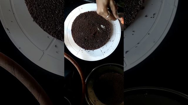 1 kg cake no order|Blackforest  cake | Birthday cake order #youtube#kitchen#cake