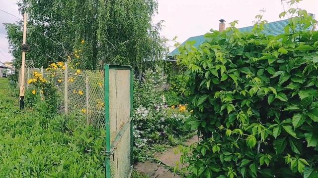 Рай для #художников. С. #Винновка, Самарская область смотреть онлайн