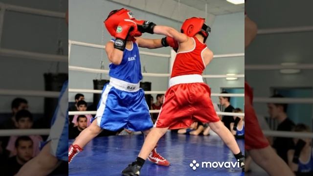 За боксёров и борцов спорт