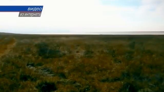 Правительством России создана дирекция Заповедный Крым смотреть онлайн