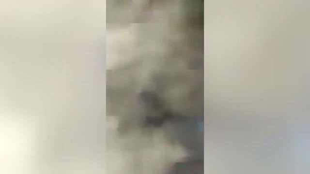 +18 Все, карпатський ліс врятовано! Полиция задержала мужика, перевозившего ветки смотреть онлайн