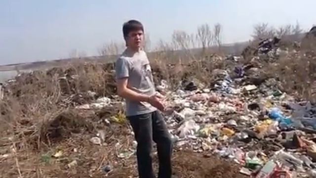 Свалка в селе Екатериновка Сенгилеевского района