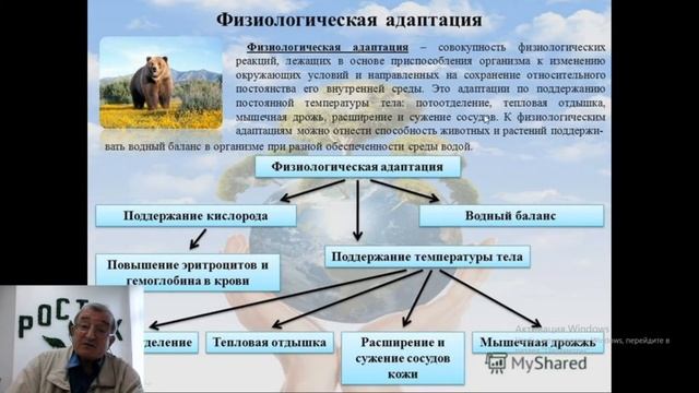 Адаптация и ее виды|Объединение "Доказательная биология" смотреть онлайн