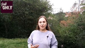 Как получить алкогольную лицензию для ресторана, кафе, бара