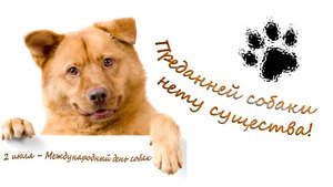 ПРЕДАННЕЙ СОБАКИ НЕТУ СУЩЕСТВА!